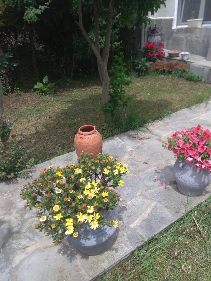 Sofia'S Cottage Ασπροβάλτα Εξωτερικό φωτογραφία