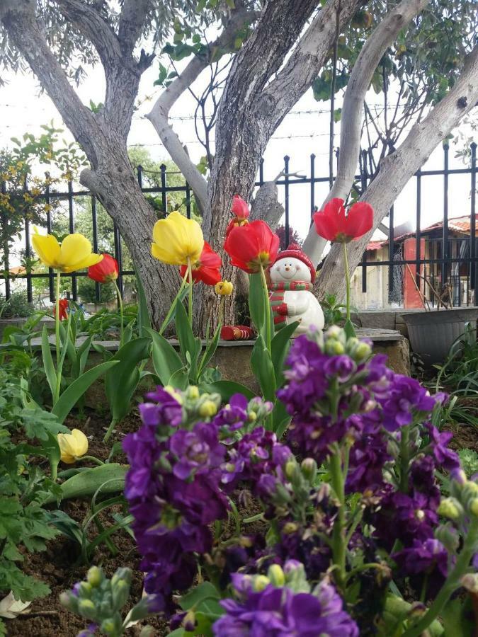 Sofia'S Cottage Ασπροβάλτα Εξωτερικό φωτογραφία